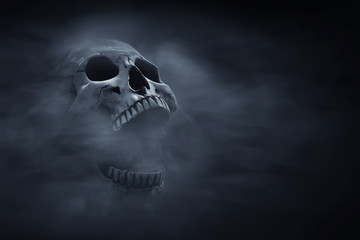 Human skull on dark background
