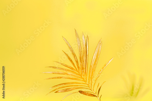 Golden palm leaf on yellow background. Creative minimal modern concept of organic beauty trend.
