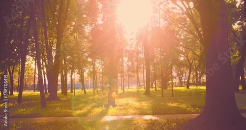 Sunny city park. The movement is shot on the steadic. The sun's rays break through the foliage. photo