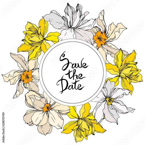 Vector Narcissus floral botanical flowers. Black and white engraved ink art. Frame border ornament square.