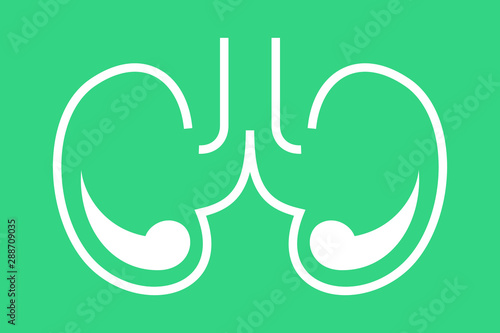 Kidney icon. Idea of urology system and nephrology