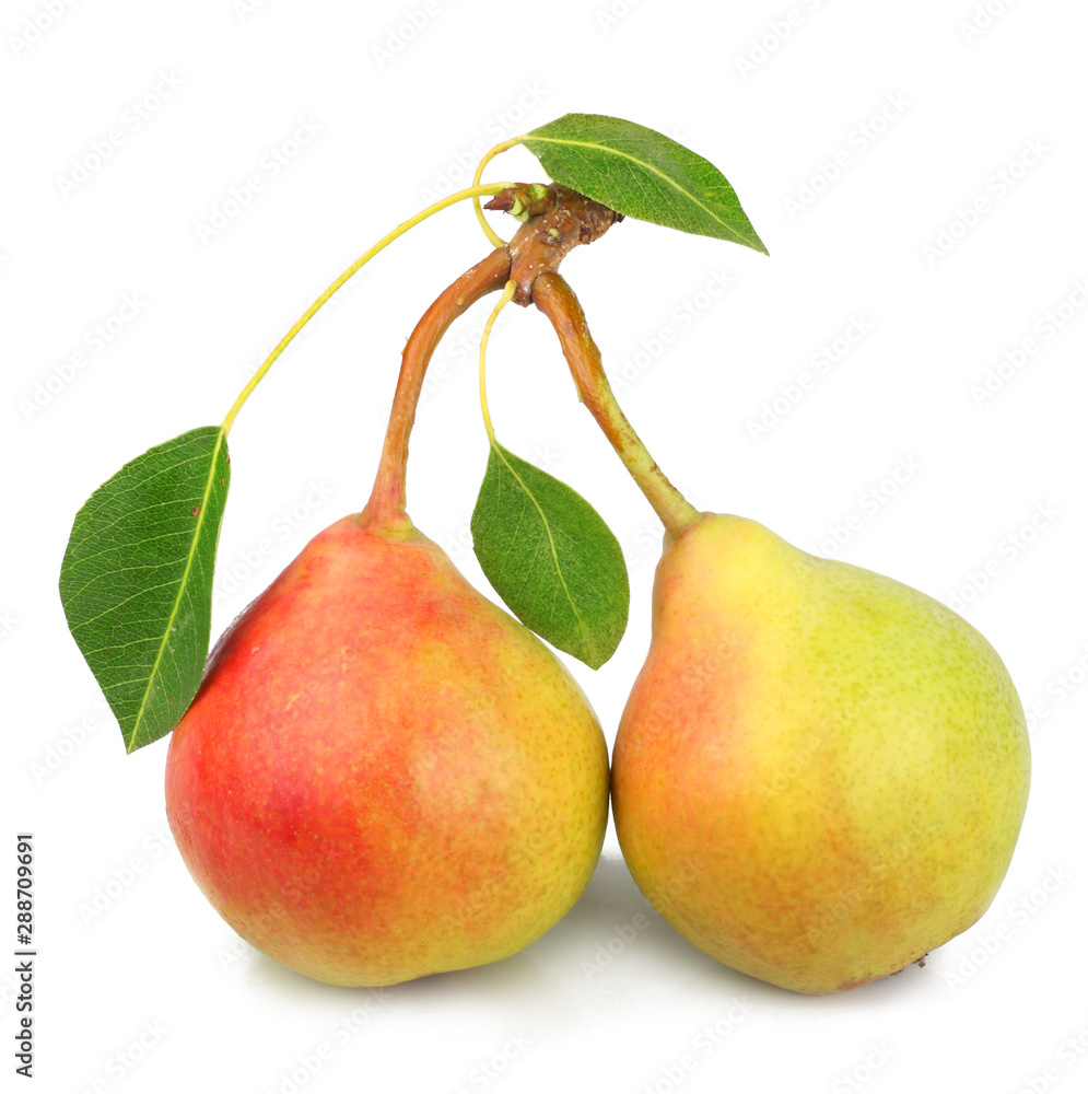 Pears isolated on white background Pears isolated on white background
