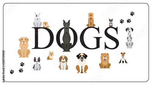 Dog set. Collection of dogs of various breed