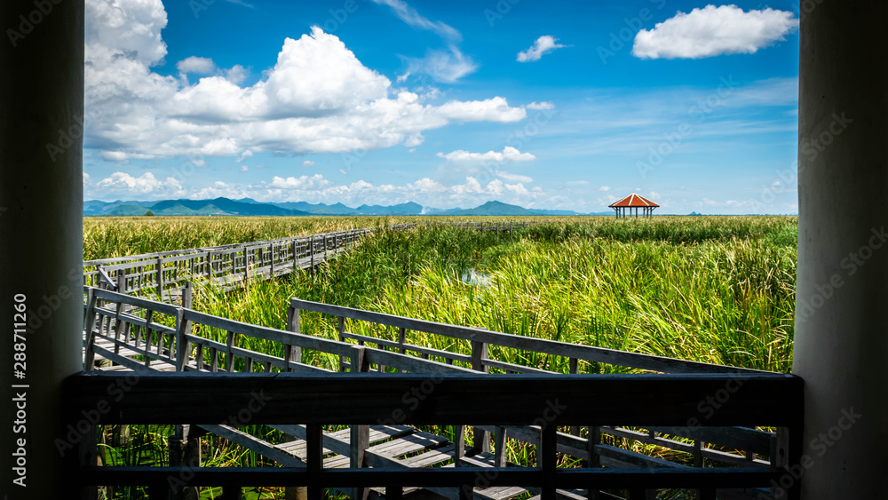 Fototapeta premium Wooden bridge over a lake with blue sky in Sam Roi Yod National Park, Prachuap Khiri Khan, Thailand