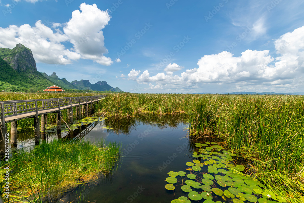 Wooden bridge over a lake with blue sky in Sam Roi Yod National Park, Prachuap Khiri Khan, Thailand Wooden bridge over a lake with blue sky in Sam Roi Yod National Park, Prachuap Khiri Khan, Thailand