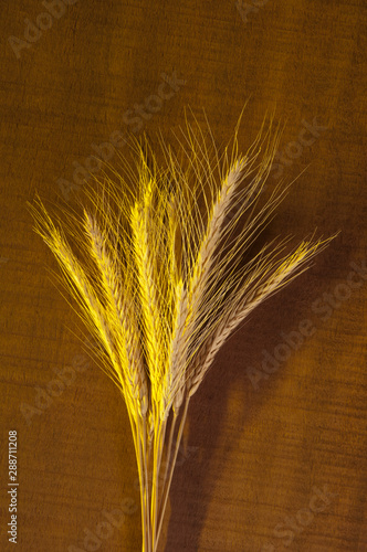 golden wheat on wooden background