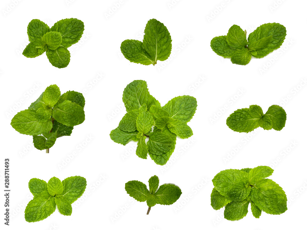 Fresh mint leaves pattern isolated on white background, top view. Close up of peppermint  - obrazy, fototapety, plakaty 