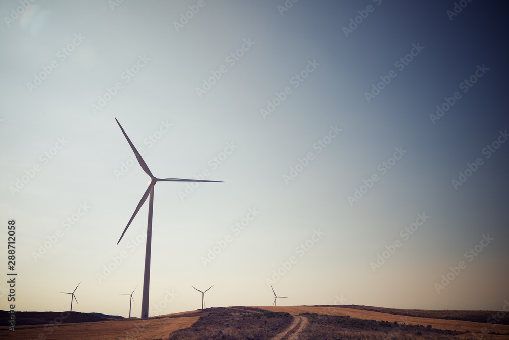 Obraz premium Wind energy concept