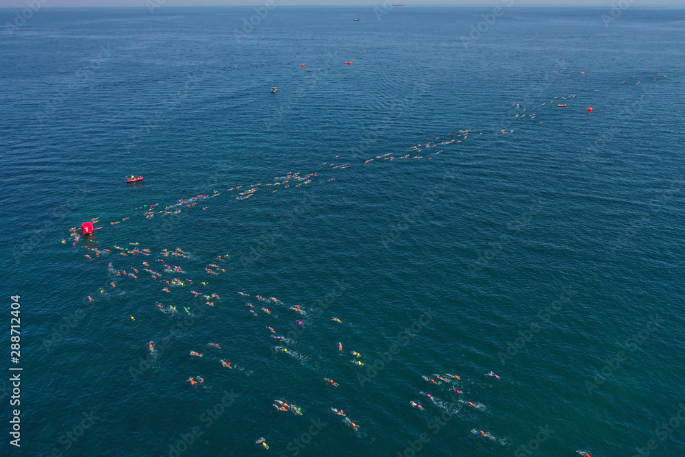 defaultcompetition on the high seas swimming many participants