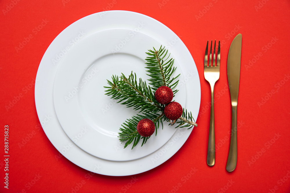 Fir tree twig on white set of dishes isolated, red background Fir tree twig on white set of dishes isolated, red background
