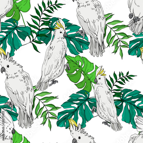 Vector Sky bird cockatoo in a wildlife. Black and white engraved ink art. Seamless background pattern.