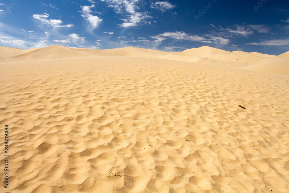 Huge dunes of the desert. Beautiful structures of sandy barkhans. Fine place for photographers and travelers. Mongolia. Huge dunes of the desert. Beautiful structures of sandy barkhans. Fine place for photographers and travelers. Mongolia.