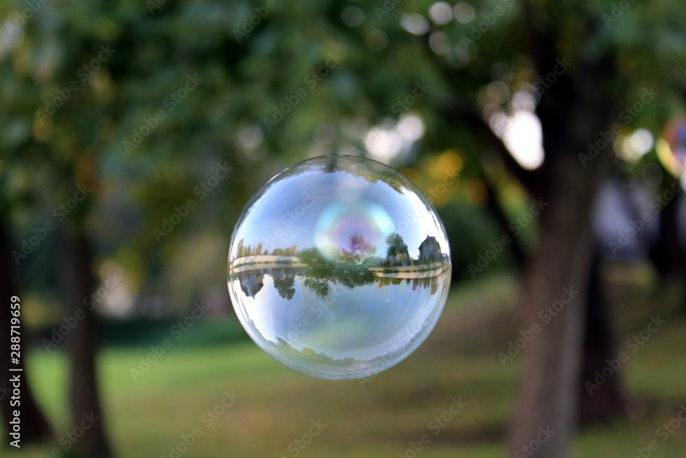 a large soap bubble in which nature is reflected a large soap bubble in which nature is reflected