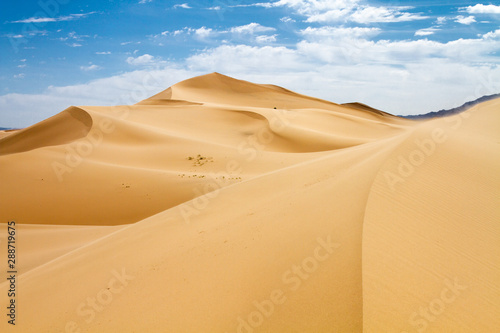 Huge dunes of the desert. Beautiful structures of sandy barkhans. Fine place for photographers and travelers. Mongolia.