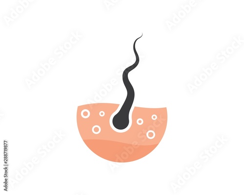 hair root icon vector illustration design