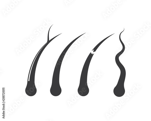 hair root icon vector illustration design