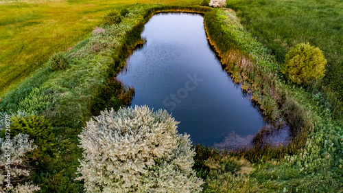 Nebraska wetland and livestock pond with moss and algae.