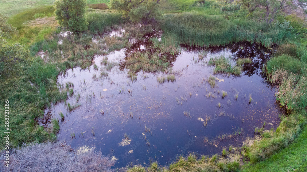 Nebraska wetland and livestock pond with moss and algae. Nebraska wetland and livestock pond with moss and algae.