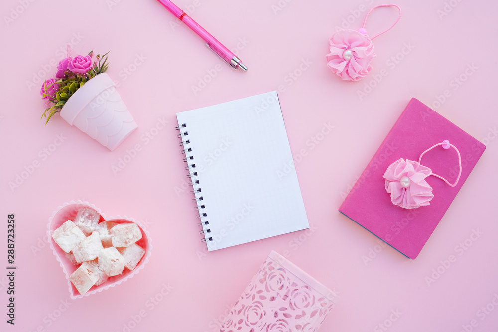 Flat lay girly, pale pink items for planning, notepads, pens, office work or working at home on her laptop, on the pale pink background, with place for labels. Concept Desk.