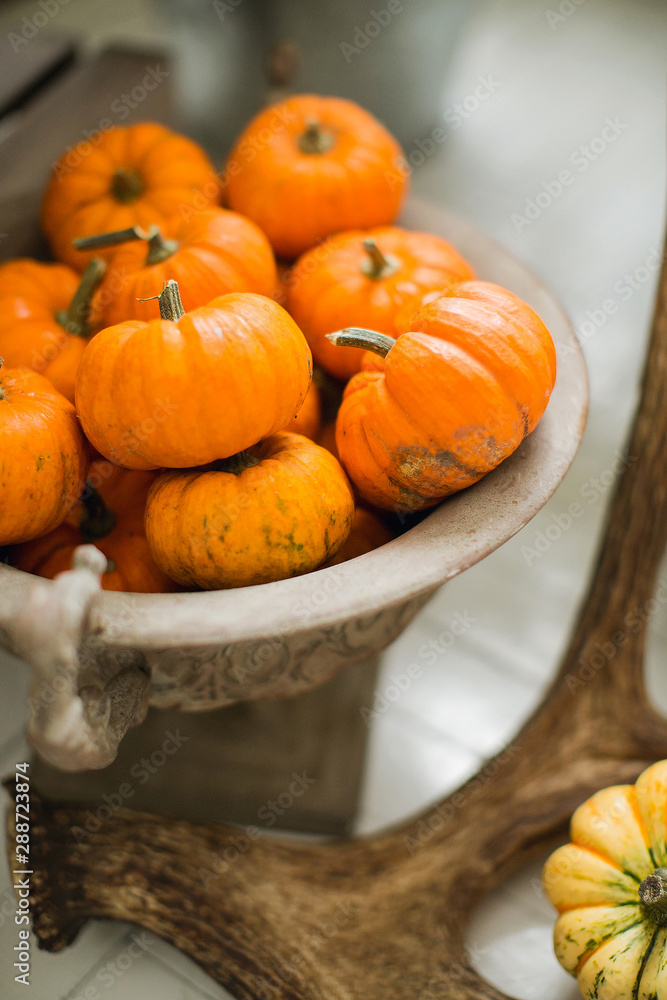 Orange pumpkins on antlers and a yellow rose. The mood and colors of autumn. Scenery for the wedding. A store window of a floral flower shop. Orange pumpkins on antlers and a yellow rose. The mood and colors of autumn. Scenery for the wedding. A store window of a floral flower shop.
