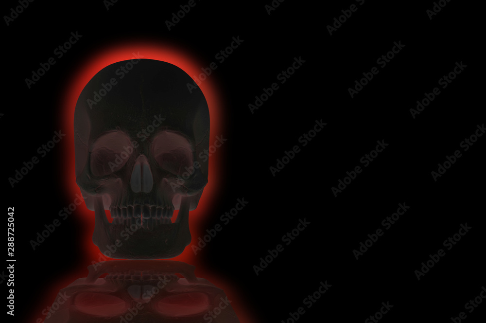 3d rendering. Dark Human Head skull bone with red light on black background. Horror Halloween concept. 3d rendering. Dark Human Head skull bone with red light on black background. Horror Halloween concept.