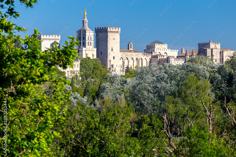Avignon. Provence. The famous papal palace on a sunny day.