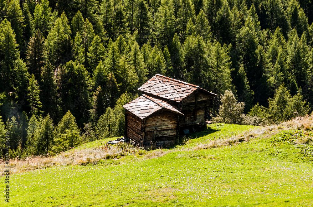Zermatt, Holzhaus, Stall, Walliser Haus, Findeln, Bergbauer, Bergwiese, Wallis, Alpen, Wanderweg, Sommer, Schweiz