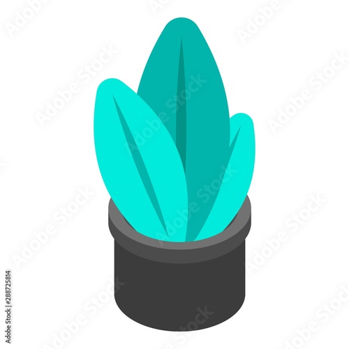 Plant pot icon. Isometric of plant pot vector icon for web design isolated on white background