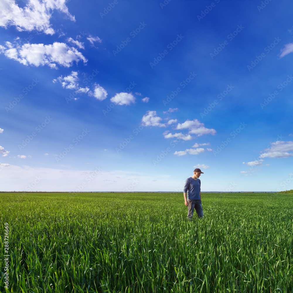 people wheat field sunset / landscape spring field agriculture of Ukraine people wheat field sunset / landscape spring field agriculture of Ukraine