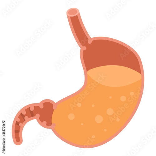 Full stomach icon. Isometric of full stomach vector icon for web design isolated on white background