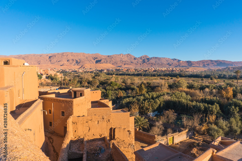 View on the oasis near the city of Tinerhir, Morocco