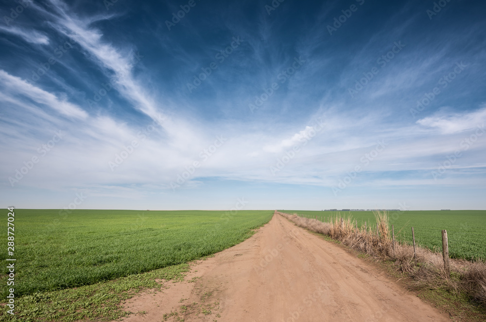 Fototapeta premium Farm road