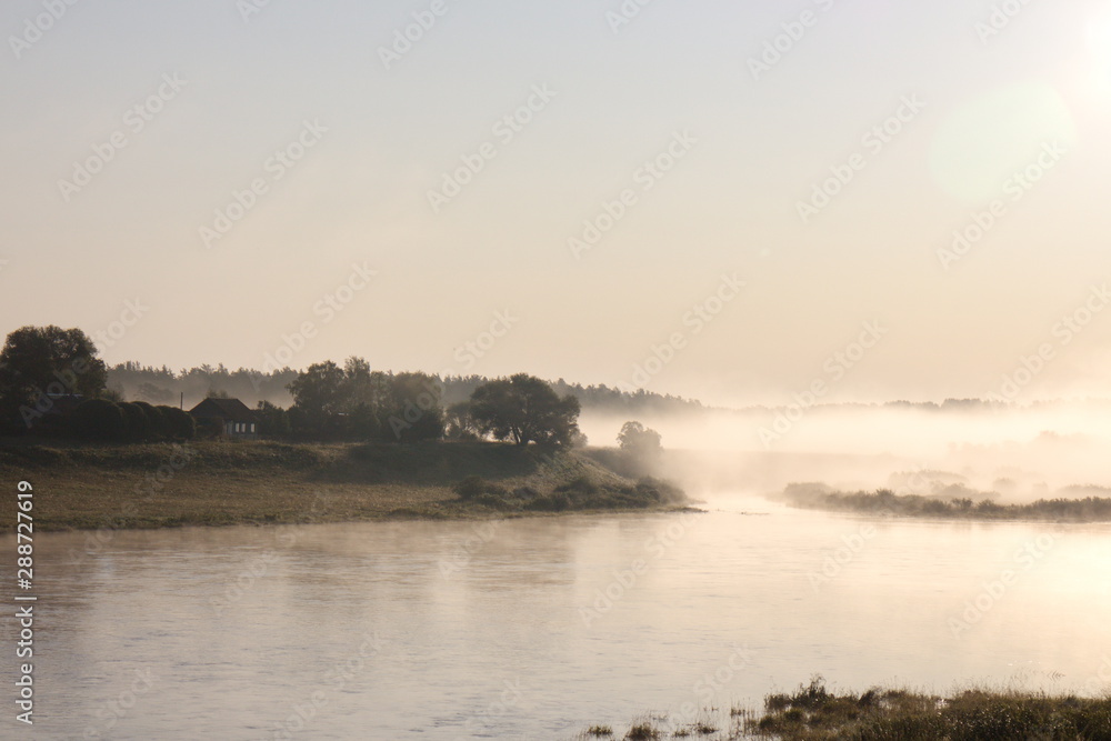riverbank on a foggy summer morning