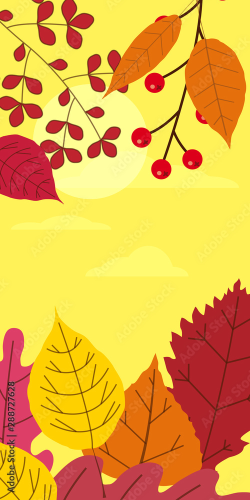 Autumn template of autumn fallen leaves orange yellow foliage. Backgrounds social media stories banners