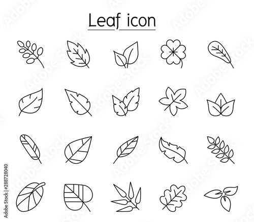 Leaf icon set in thin line style