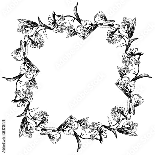 Frame of flowers drawn with ink and pen, vector plant illustration.