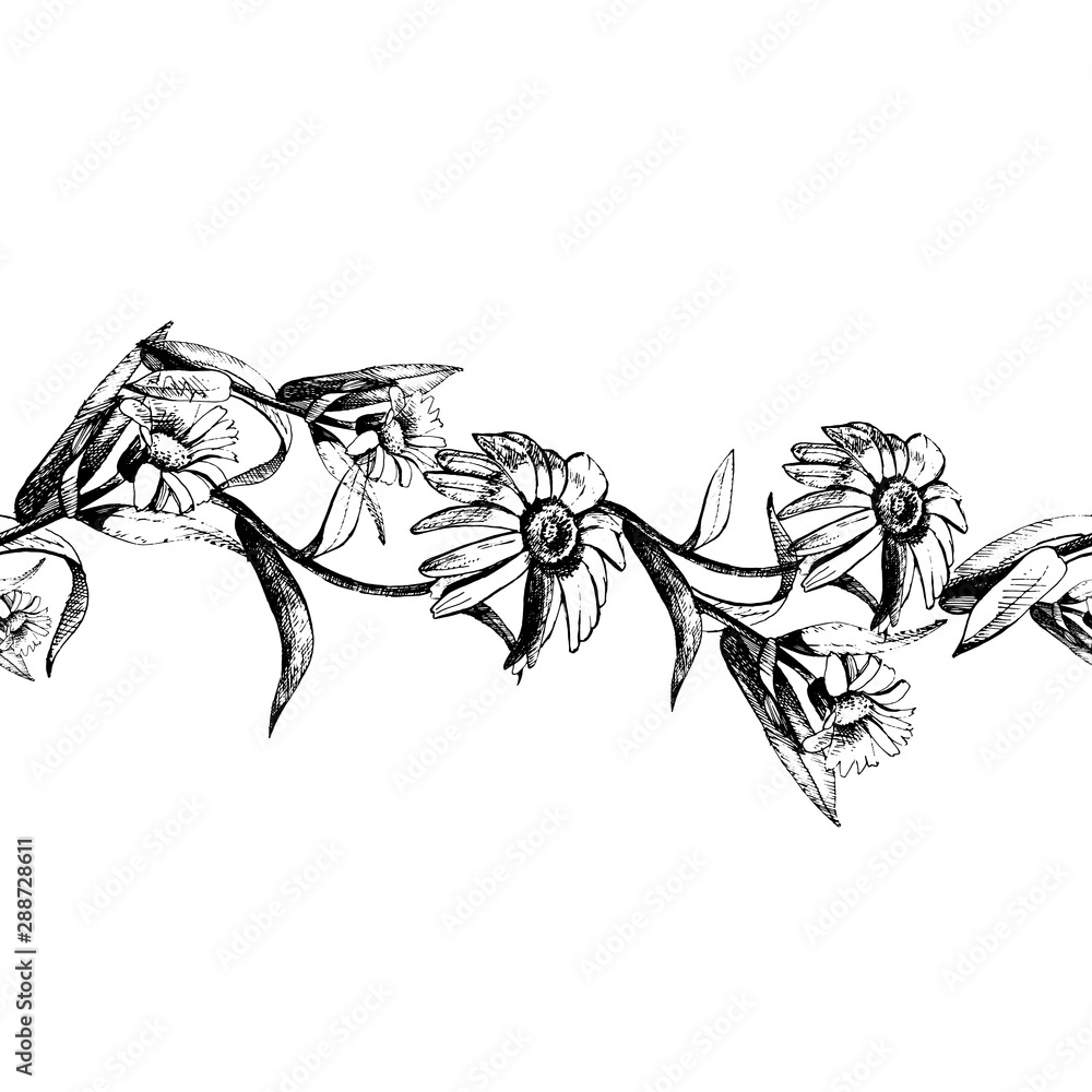 Vector seamless pattern of flowers drawn with ink and pen. Vector seamless pattern of flowers drawn with ink and pen.