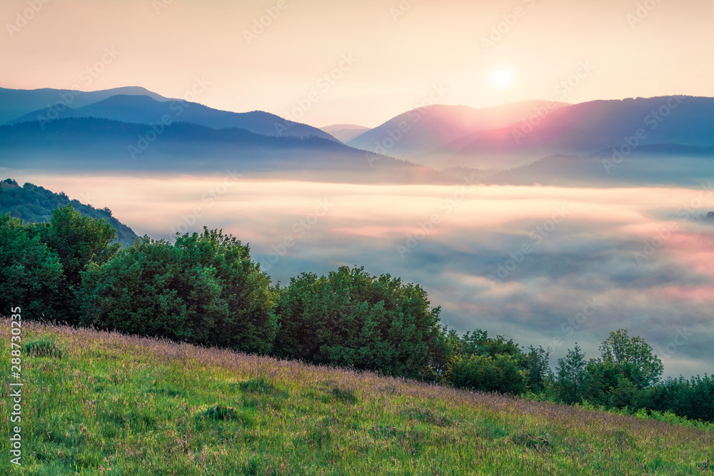 Colorful summer sunrise in Carpathian mountain. First sunlight glowing foggy mountain hills, Transcarpathian region, Ukraine, Europe. Beauty of nature concept background.
