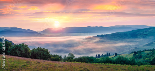 Spectacular summer sunrise in Carpathian mountains. Foggy morning panorama of green mountain valley, Transcarpathian, Rika village location, Ukraine, Europe. Beauty of nature concept background.