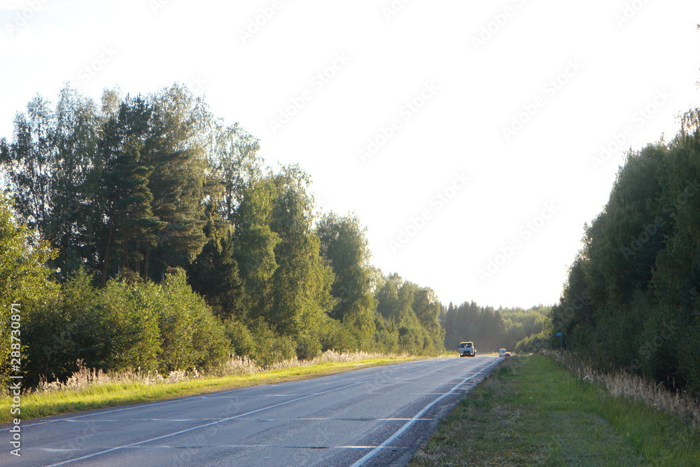 Fototapeta premium road in the countryside on a summer evening