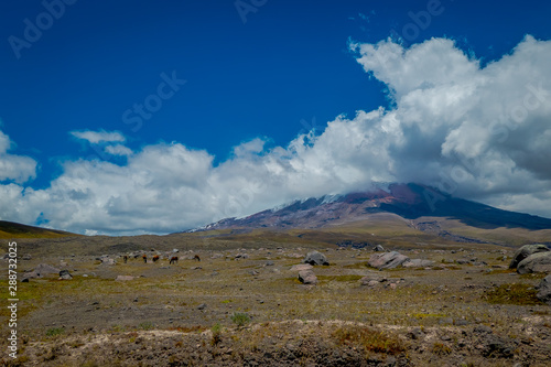 Cotopaxi National Park in Ecuador, in a summer morning. photo