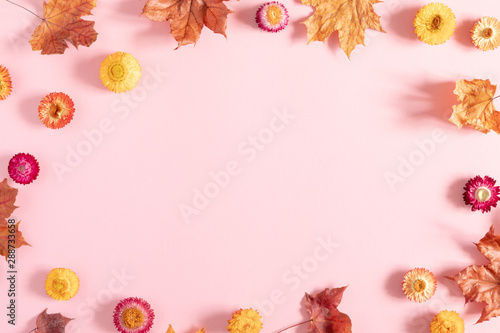 Autumn creative composition. Beautiful colorful flowers  leaves on pastel pink background. Fall concept. Autumn background. Flat lay  top view  copy space