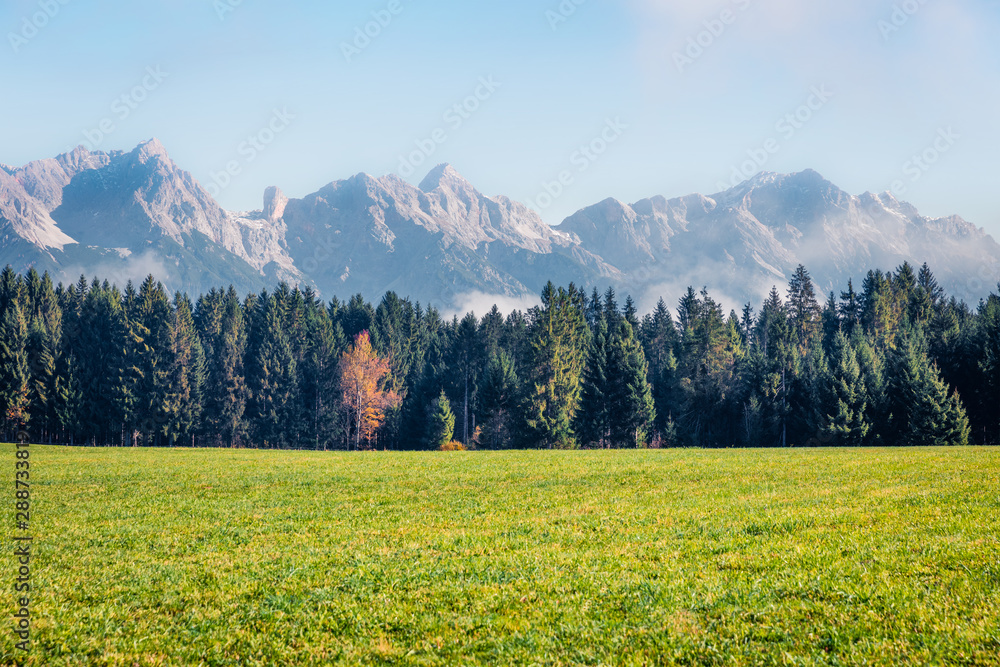 Misty morning view of green meadow near Mitterhofen village, Austrian state of Salzburg. Colorful autumn scene of Alps, Austria, Europe. Traveling concept background.