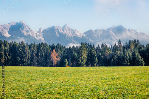 Misty morning view of green meadow near Mitterhofen village  Austrian state of Salzburg. Colorful autumn scene of Alps  Austria  Europe. Traveling concept background.