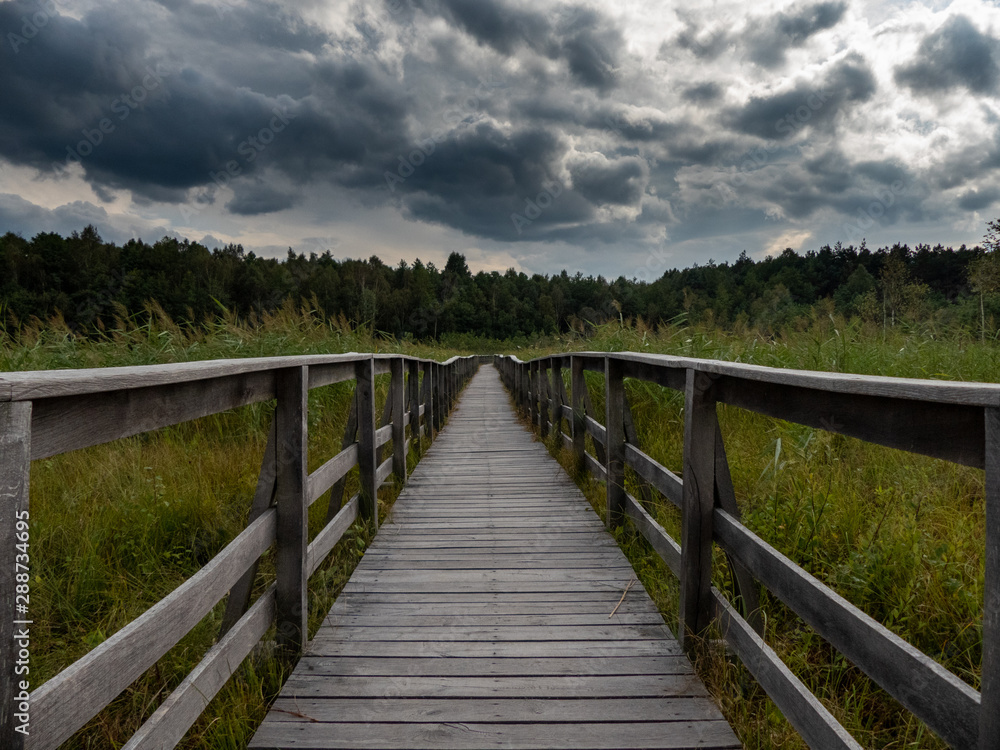 wooden footbridge through the forest. Dark storm clouds herald the coming storm