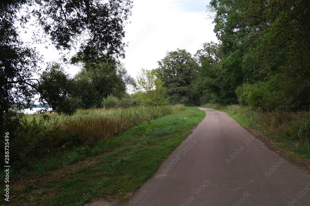 cycle path on the Elbe 