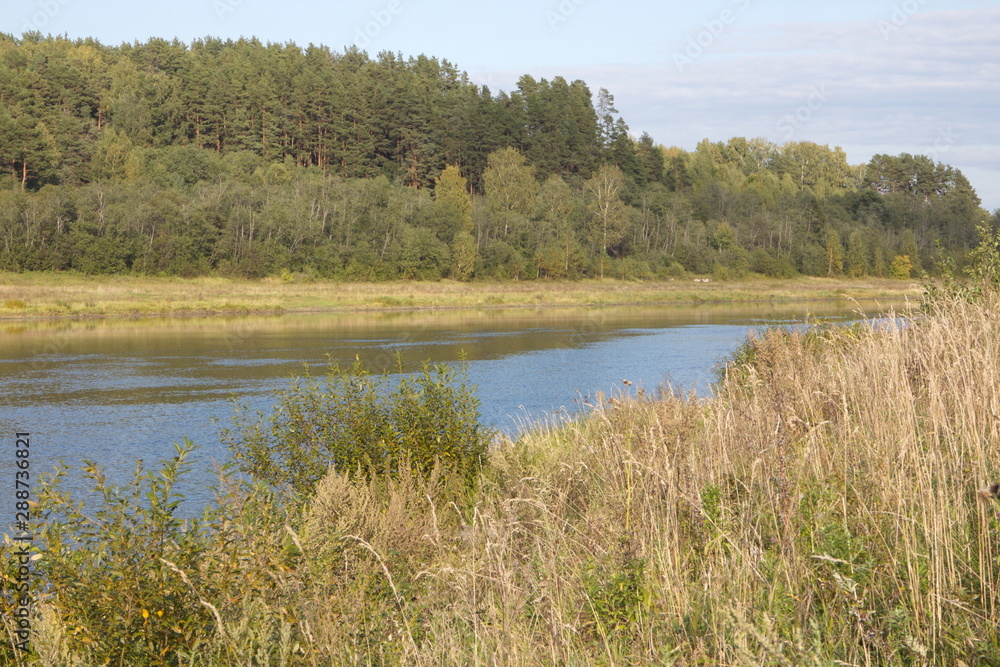 riverbank in the countryside on a summer day riverbank in the countryside on a summer day