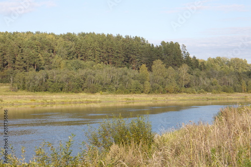 riverbank in the countryside on a summer day