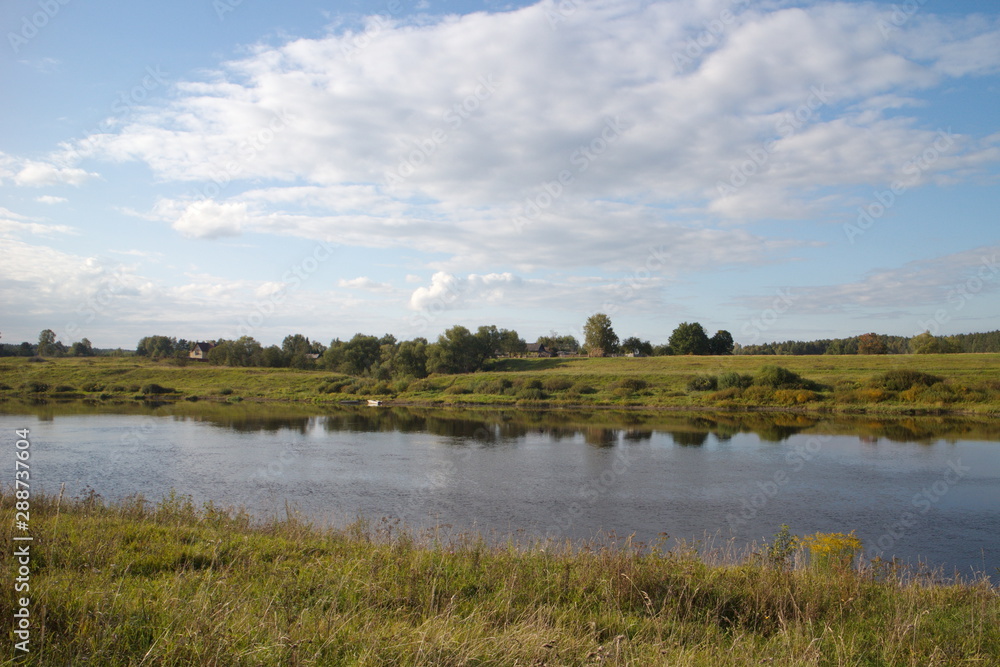 Fototapeta premium riverbank in the countryside on a summer day
