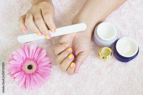 Female hands do manicure. Jars of cream, a nail file, gerbera with water drops on a light pink plush background...